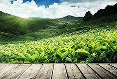 bte·365(中国)唯一官方网站